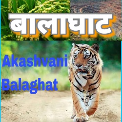 Akashvani Balaghat logo